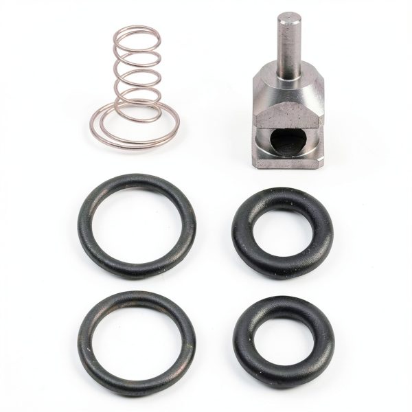Harley-Davidson Fuel Check Valve Rebuild Kit by Apobelor-0